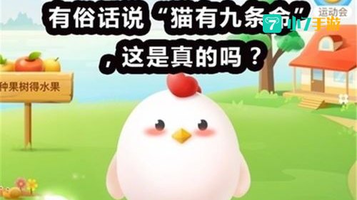 俗话说猫有九条命是真的吗